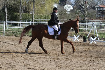 Bild 162 - WBO-Turnier am 9.4.11